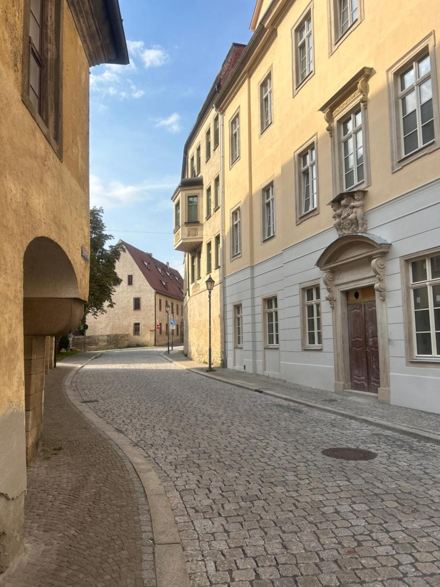 Maximi Loft - Ferien & Business Apartment Merseburg Luaran gambar